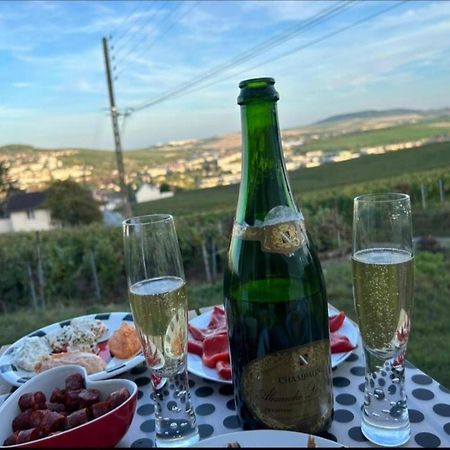 Dans Les Vignes D'Epernay Villa Екстериор снимка