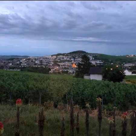 Dans Les Vignes D'Epernay Villa Екстериор снимка