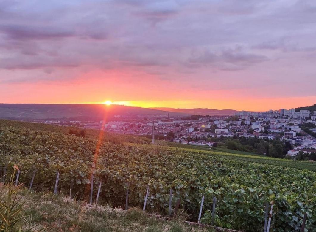 Dans Les Vignes D'Epernay Villa Екстериор снимка