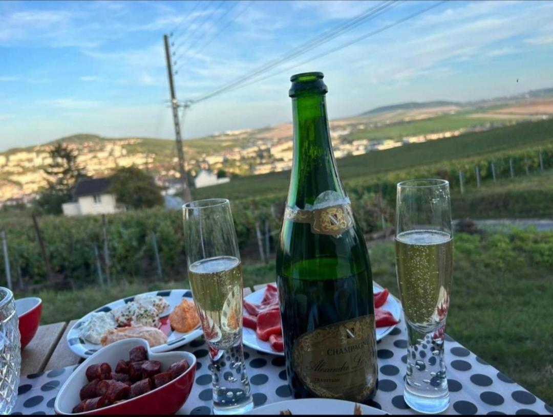 Dans Les Vignes D'Epernay Villa Екстериор снимка