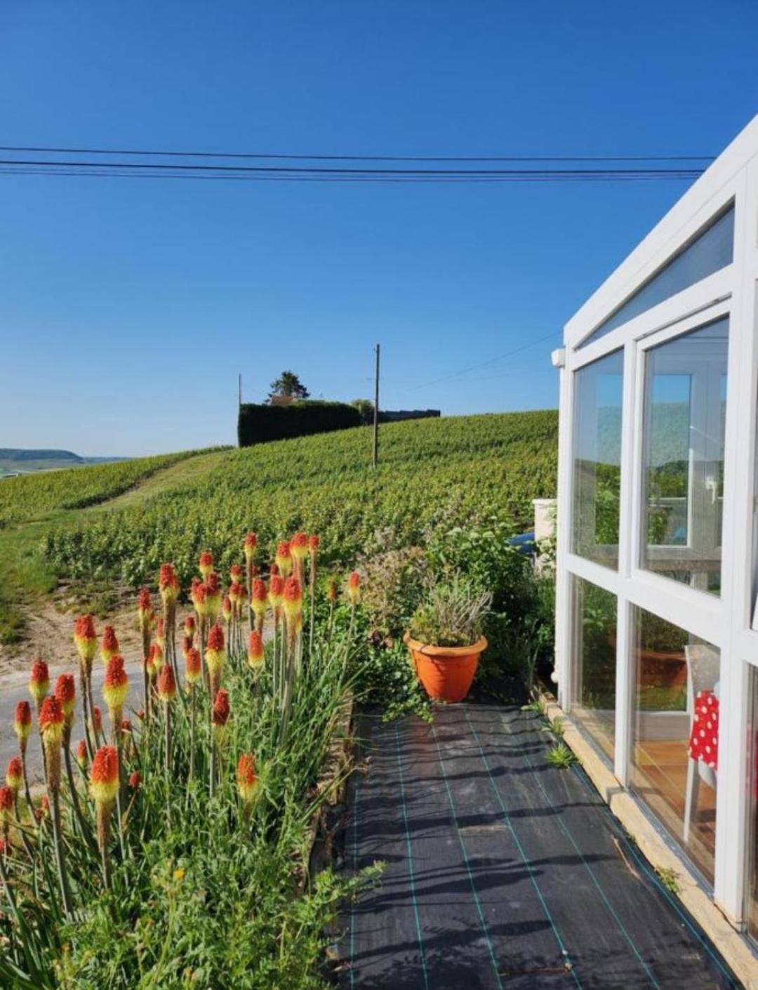 Dans Les Vignes D'Epernay Villa Екстериор снимка