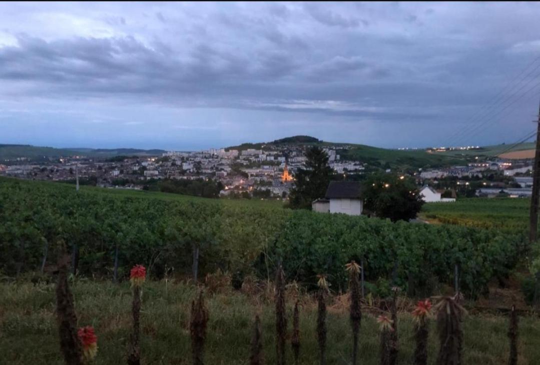 Dans Les Vignes D'Epernay Villa Екстериор снимка